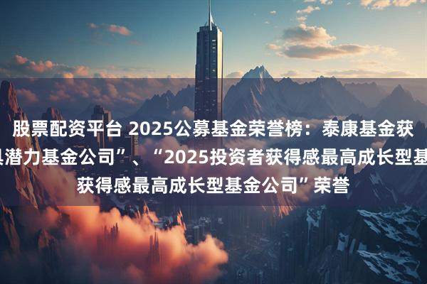 股票配资平台 2025公募基金荣誉榜：泰康基金获得“2025最具潜力基金公司”、“2025投资者获得感最高成长型基金公司”荣誉